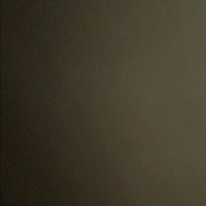 Meet your Posher, Bailey